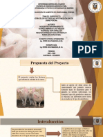 Diapositivas PIS de Producción Animal - Cerdo
