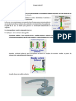 Preparación 2P