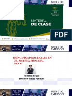 Principios Procesales I