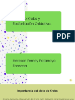 Diapositivas Ferney (1)