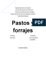 Pastos y Forrajes