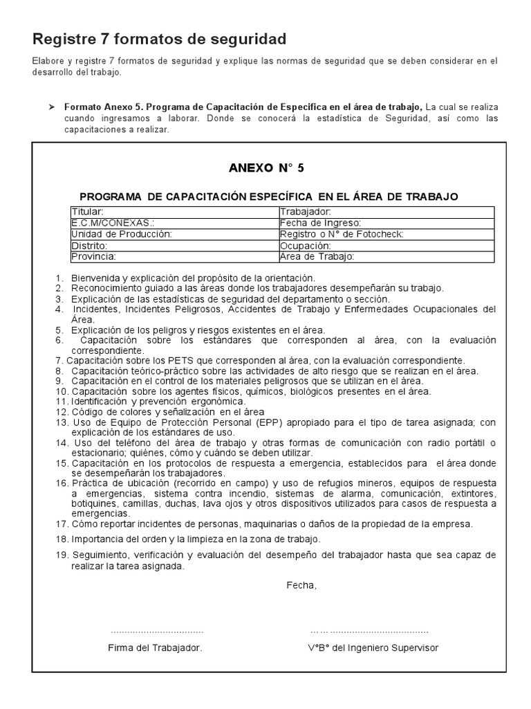 Formatos de Seguridad Laboral y Riesgos | PDF | Minería | Auditoría