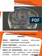 Aula 9. Organização Funcional Do Córtex Cerebral (1)_d31073721980f4039a25f27aa13226f9