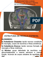 Aula 4. Grandes Vias Ascendentes e Descendentes (1)_851546447c9467756bf7ad99ded2adc9