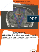 Aula 1. Introdução Ao Estudo Da Neuroanatomia Modificada
