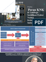 Sertifikasi Profesi Dan KNK