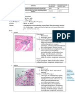 Acara 2 - Laporan Sementara Patoanatomi - Putri Nur Aida - Kelompok 3