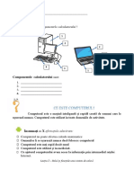 Fisa - Lectia 2 Optional