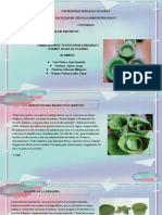 FORMULACIONPPT