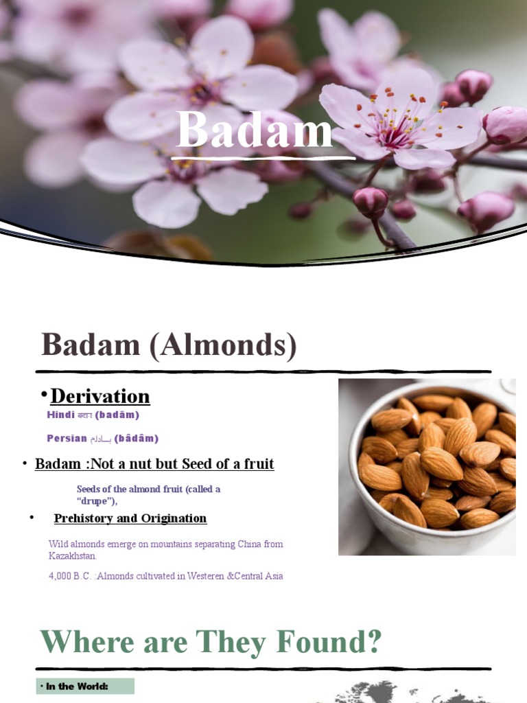 Almond | PDF | Wellness
