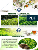 Decoding Tea - Experience