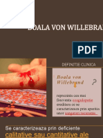 Boala Von Willebrand