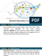 IV.A. Nutrient Absorption in Cells