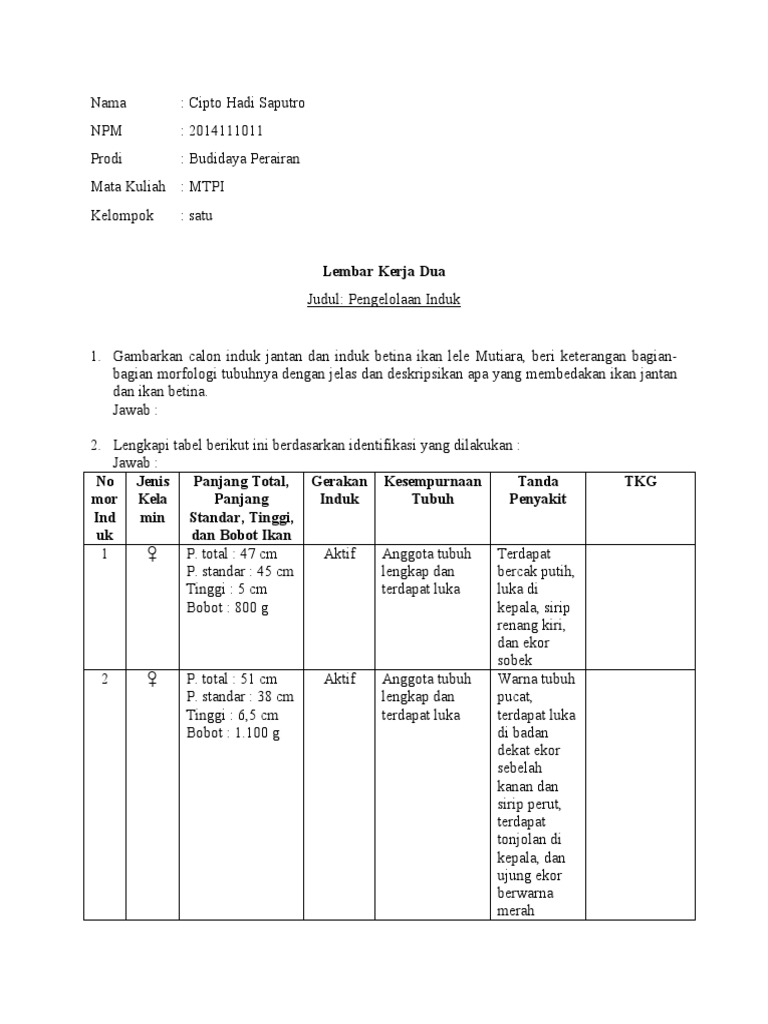 Indah puspita lk 2 b pdf