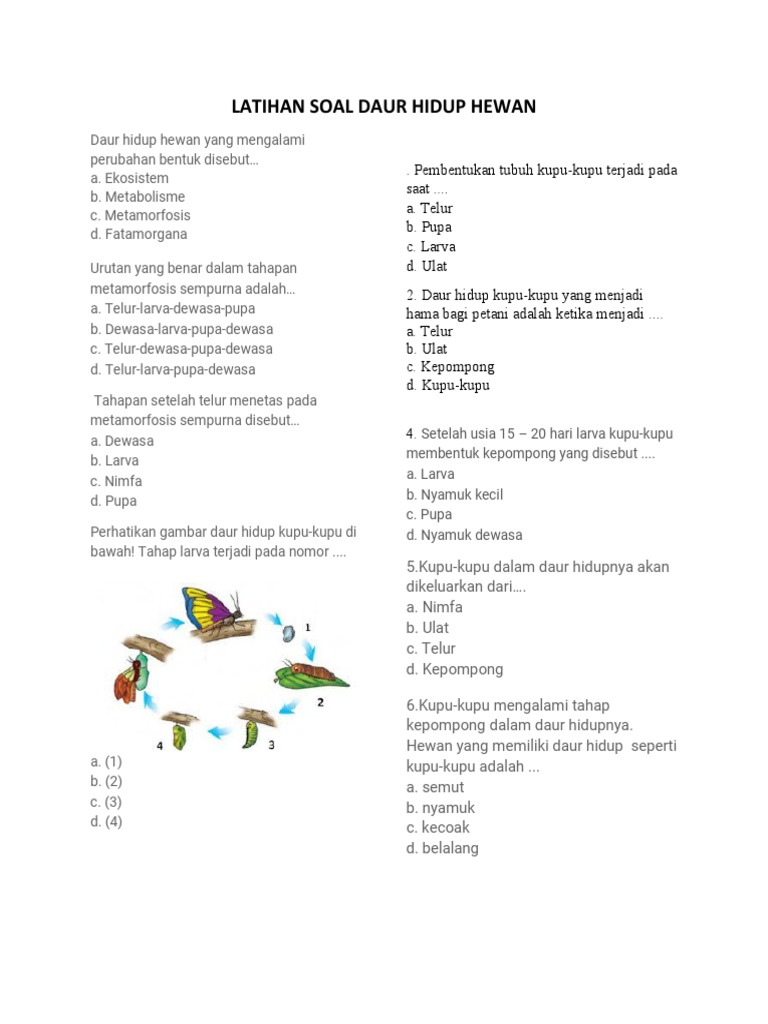 Latihan Soal Daur Hidup Hewan | PDF