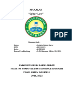 Makalah CYBER LAW