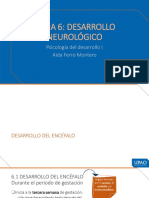 La Neuroeducación en La Primera Infancia