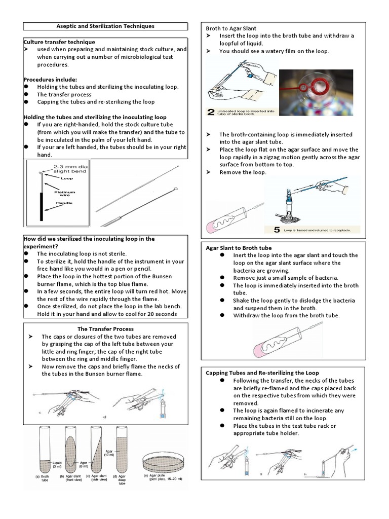 Aseptic and Sterilization Techniques PDF Sterilization