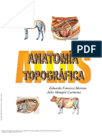 Atlas Anatomía Topográfica - (Atlas de Anatomía Topográfica)