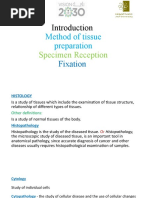 Dissection Safety Guidelines | PDF | Nature