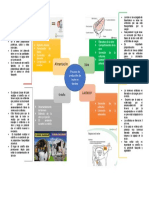 Procesos de Producción de Leche en El Bovino