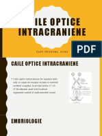 Căile Optice Intracraniene