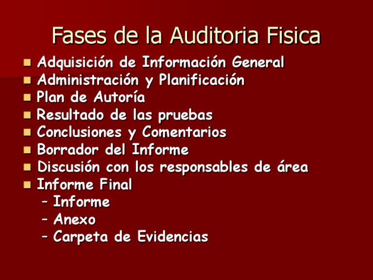 Fases de La Auditoria | PDF | Tecnología