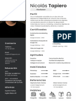 Nicolás Tapiero, Curriculum Vitae