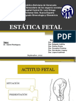 Estatica Fetal