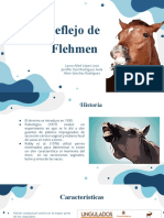 Reflejo de Flehmen