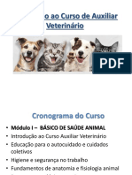 Aula 01 Introdução Ao Curso de Auxiliar Veterinário