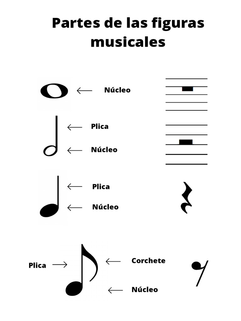 Partes de Las Figuras Musicales PDF