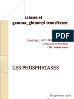 Phosphatases Et Gamma - Glutamyl Transférase