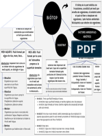 Mapa Conceptual