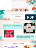 Flor de Avispa