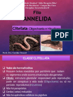 03 Clitellata