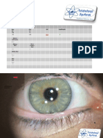 Tranparencia Análise Completa Da Iris - LibreOffice 2