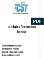 Aula 4 - Neuroanatomia funcional