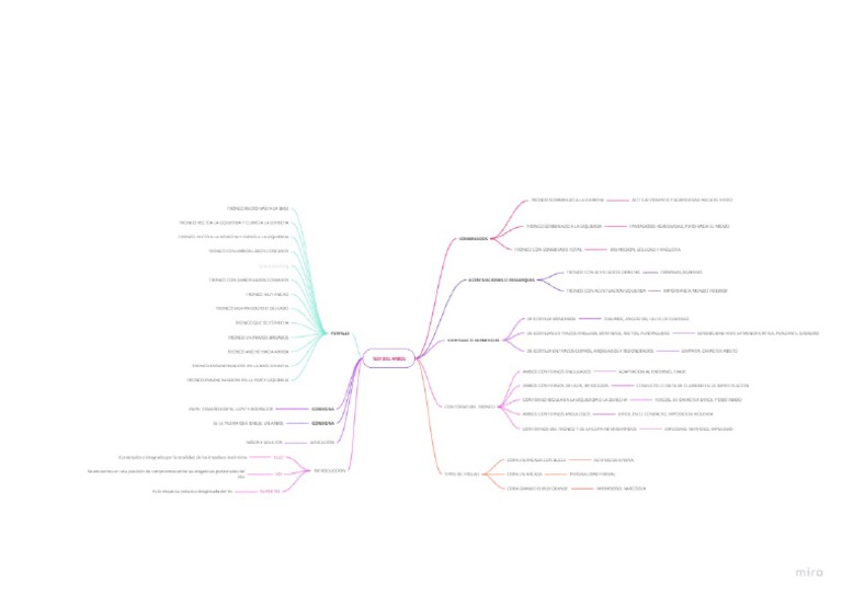 mind-map-pdf