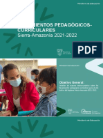 Lineamientos Sierra Amazonia 2021_2022__16_09_2021