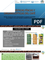 Formato Capacitación Café