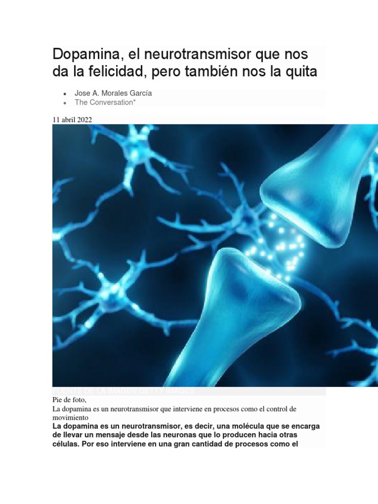 Dopamina: el neurotransmisor de la felicidad | PDF | Dopamina ...