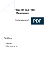 Pertemuan 4 The Placenta and Fetal Membran