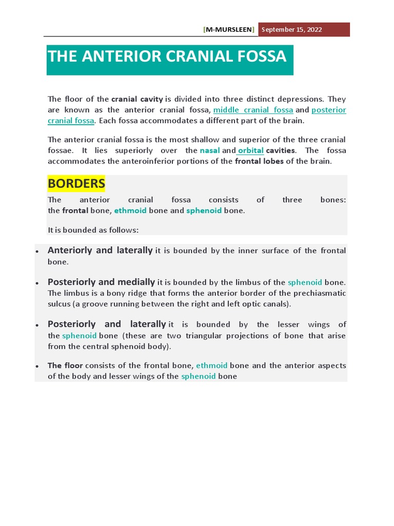 Anatomy of the Anterior Cranial Fossa | PDF | Skeletal System | Anatomy