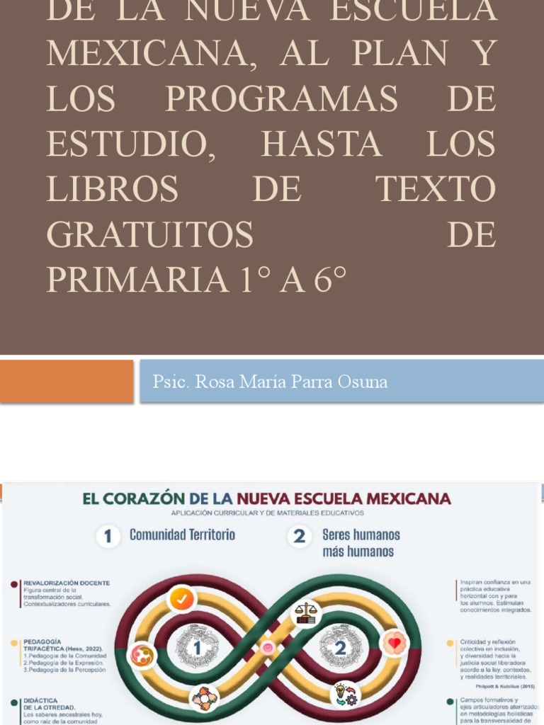 De La Nueva Escuela Mexicana Al Plan Pdf Aprendizaje Libros