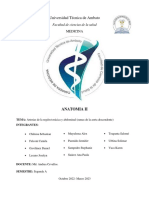 Arterias de La Región Torácica y Abdominal (Ramas de La Aorta Descendente) - 1g