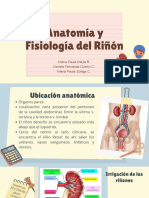 Anatomia y Fisiologia