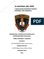 E2 PNP Villagra Garcia Alfonso Felipe - Resumen y Analisis.