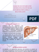 Metabolismo de Los Contaminantes (Biotransformación), Fijación