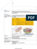 2. Biología Molecular